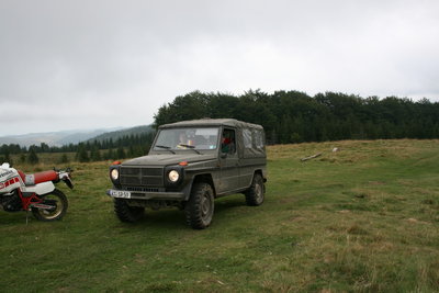 steyer puch.jpg