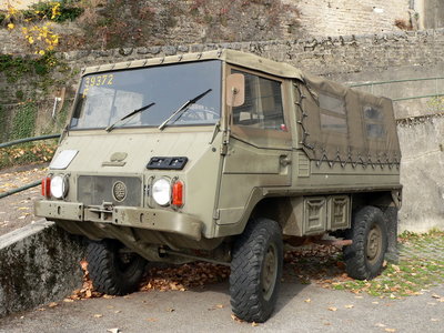 pinzgauer.jpg