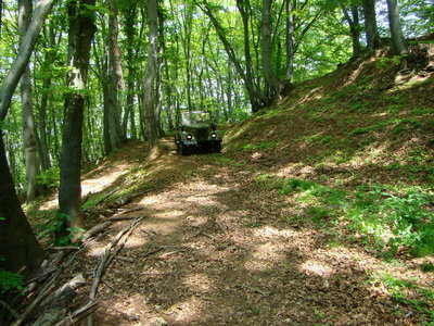 11.jpg