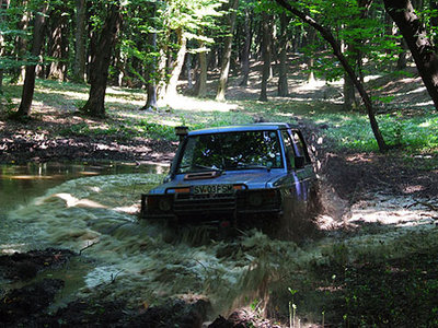 DSCF8811.jpg