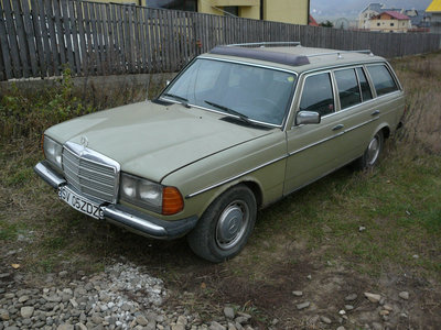 P1100035.JPG