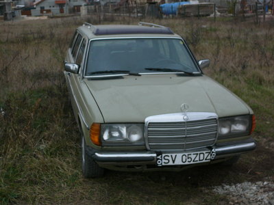 P1100034.JPG