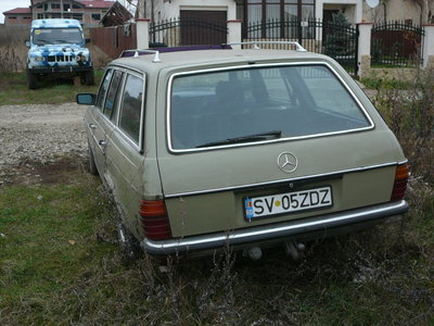 P1100037.JPG