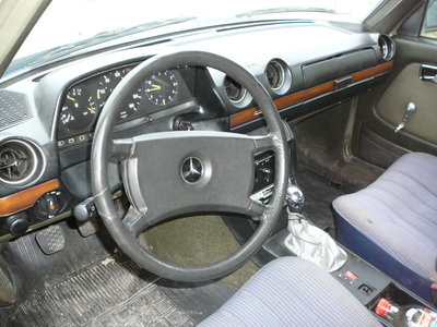 P1100038.JPG