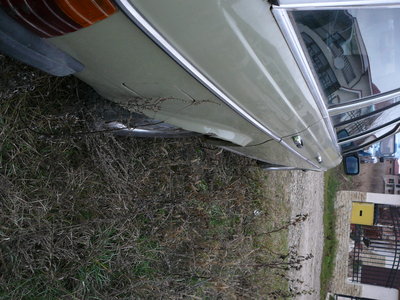 P1100053.JPG