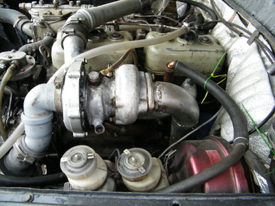 Picture 074.jpg