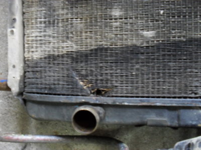SDC15257.JPG