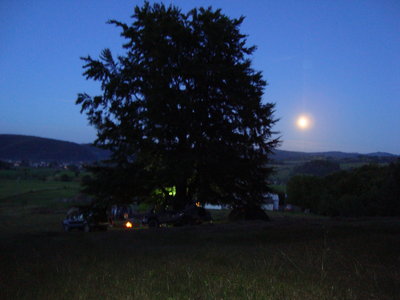 DSC04663.JPG