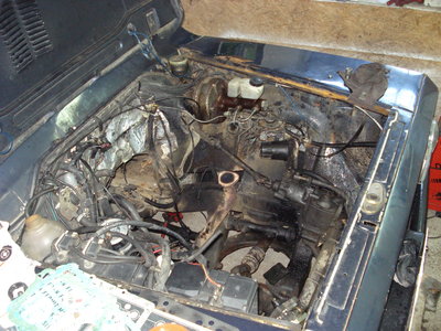 DSC08807.JPG