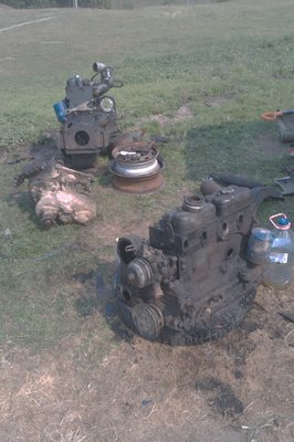 IMAG0335.jpg