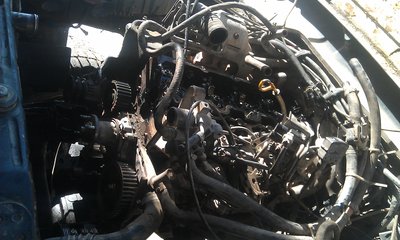 IMAG0488.jpg