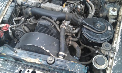 IMAG0576.jpg