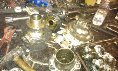 IMAG0594.jpg