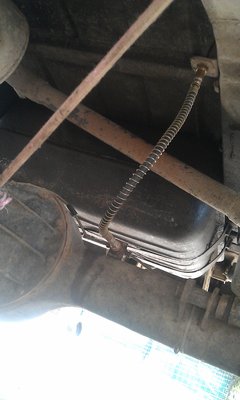IMAG0719.jpg