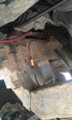 IMAG0717.jpg