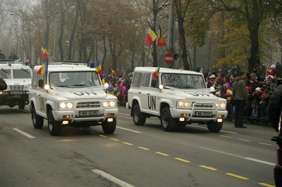 ARO%20MAI.jpg